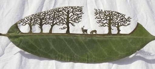樹(shù)葉激光打標(biāo)